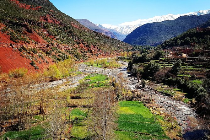 Private Day Tour to Ourika Valley including Guided Hike and Lunch from Marrakech - Seeing how argan oil is made