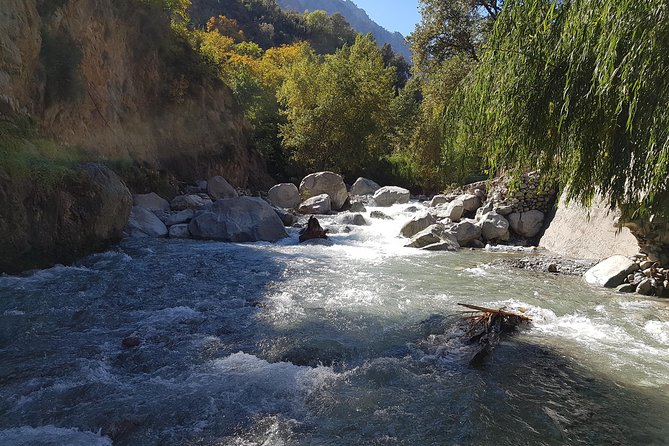 Private Day Tour to Ourika Valley including Guided Hike and Lunch from Marrakech - A Berber lunch in a family home
