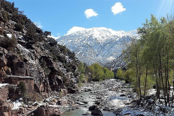 Private Day Tour to Ourika Valley including Guided Hike and Lunch from Marrakech - Should you book it?