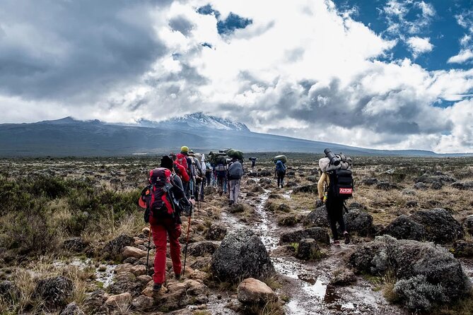 Private Full Day Hiking Experience to Marangu Route - Reaching Mandara Hut