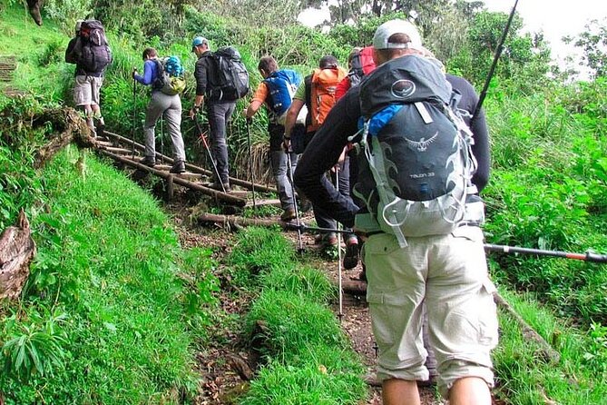 Private Full Day Hiking Experience to Marangu Route - The Descent and the Return to Arusha