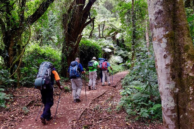 Private Full Day Hiking Experience to Marangu Route - Price, Inclusions, and Overall Value