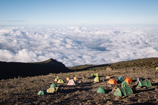 Private Full Day Hiking Experience to Marangu Route - What the Guide Can Add