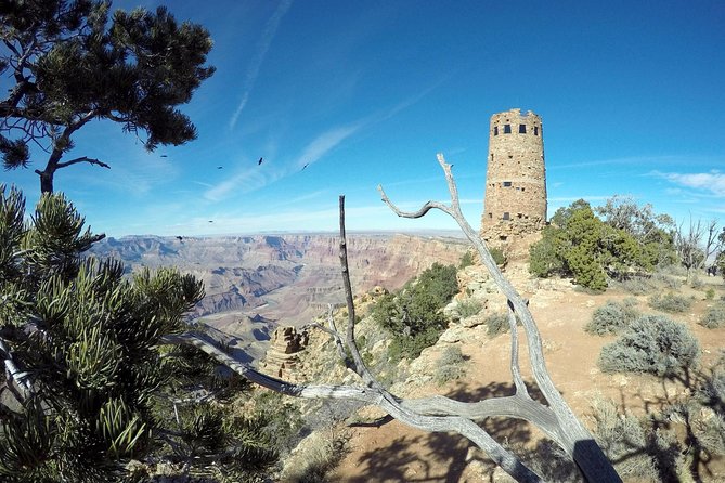Private Grand Canyon Hike and Sightseeing Tour - Who should book this private Grand Canyon tour