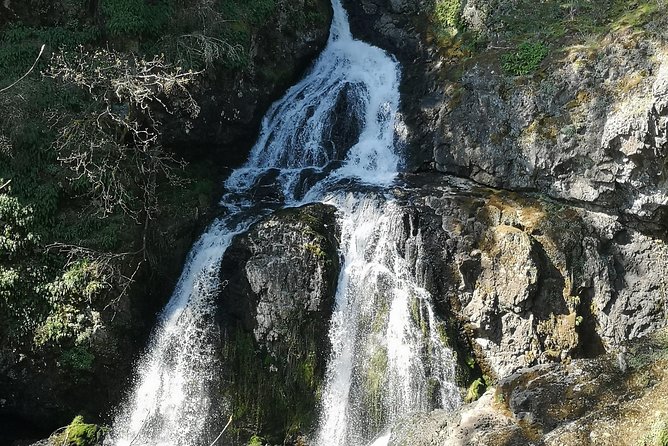 Private Guided Rainforest Hike in Victoria - Adding coast, seals, waterfalls, or a castle