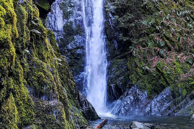 Private Guided Rainforest Hike in Victoria - What the $82.57 price gets you