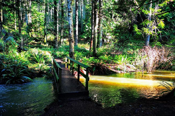 Private Guided Rainforest Hike in Victoria - Booking details worth knowing before you go