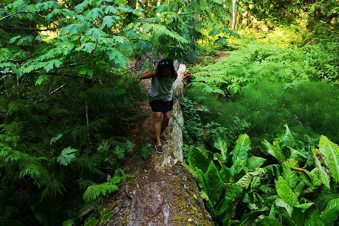 Private Guided Rainforest Hike in Victoria - Riding out of Victoria in a private SUV