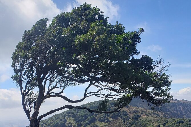 Private Half Day Hike to Ngong Hills from Nairobi - Why Ngong Hills makes a good Nairobi escape