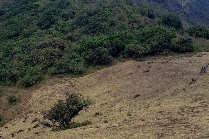 Private Half Day Hike to Ngong Hills from Nairobi - Lunch after the hike