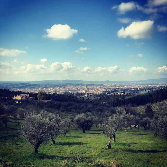 Private Hiking Florence Tour with Wine and Lunch or semi-pri - Cypress woods, oak trees, and Pietraserena quarries