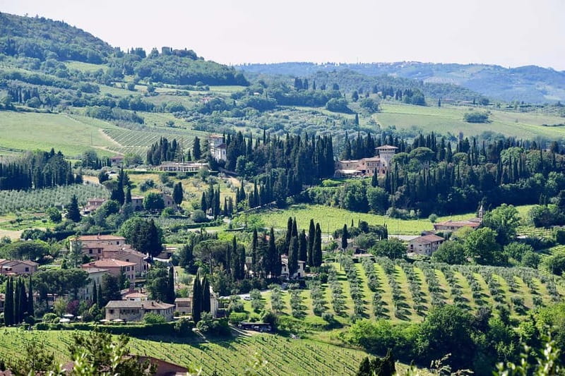 Private Hiking Florence Tour with Wine and Lunch or semi-pri - The first views above Florence