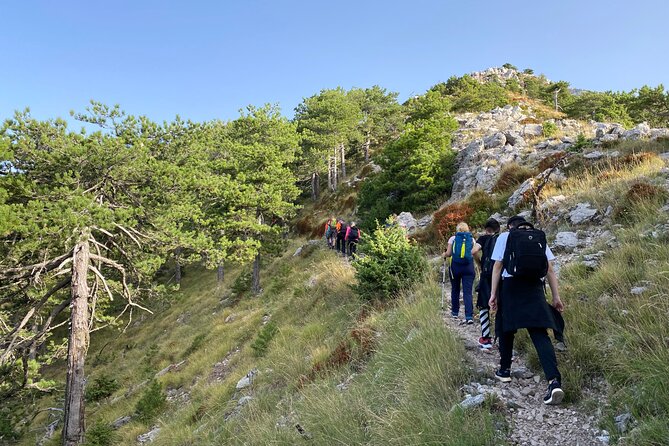 Private Hiking Tour in Çika Mountain - Through Llogara’s pine trees