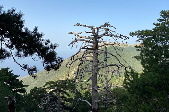 Private Hiking Tour in Çika Mountain - The final climb to Çika Peak