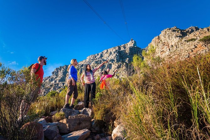 Private Hiking Tour of Table Mountain - Key points to know before booking