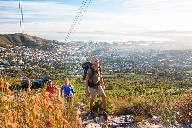 Private Hiking Tour of Table Mountain - What the guide adds to the day