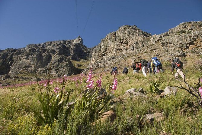 Private Hiking Tour of Table Mountain - The five-hour climb up the mountain