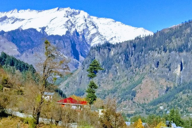 Private One Day Hiking Trip in Manali, Scenic Mountain Trail in Manali - Choosing between forests, waterfalls, and high meadows