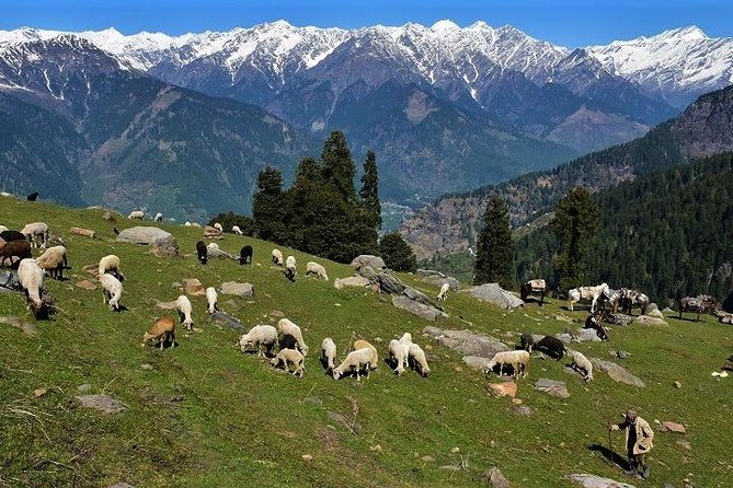 Private One Day Hiking Trip in Manali, Scenic Mountain Trail in Manali - Fitness, altitude, and sensible expectations