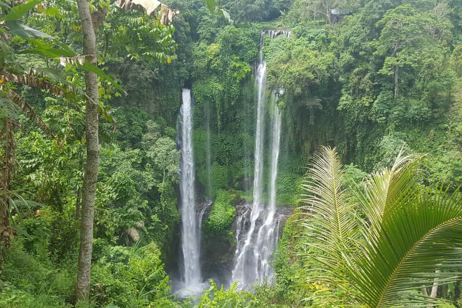 Private Sekumpul Waterfall Hiking Tour - A private car makes the long day easier