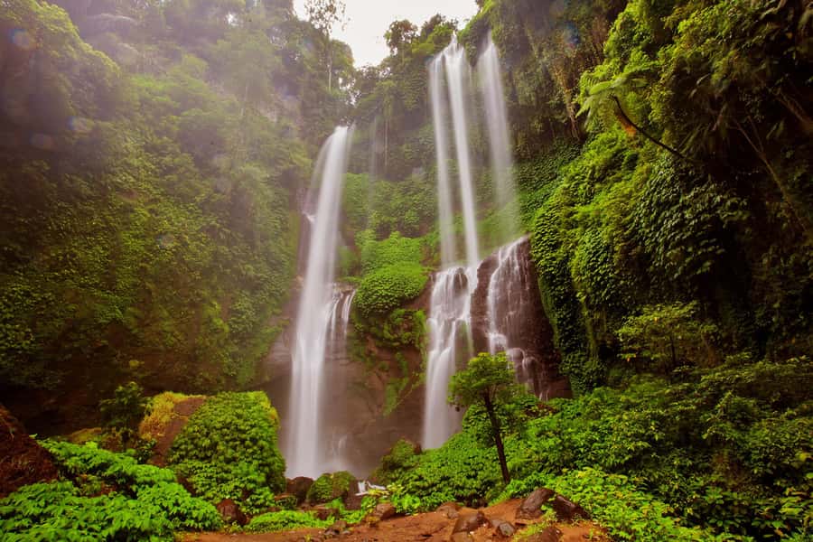 Private Sekumpul Waterfall Hiking Tour - The coffee plantation is curious, but optional
