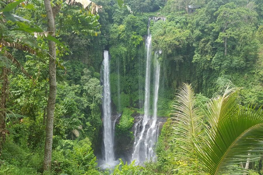 Private Sekumpul Waterfall Hiking Tour - Who should book this experience?