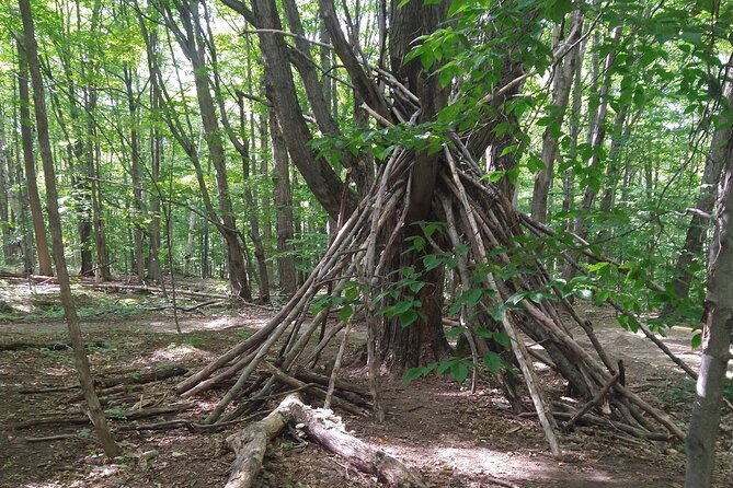 Private Singhampton Caves Hiking Tour, Collingwood/Blue Mountain - Why a private guide changes the outing