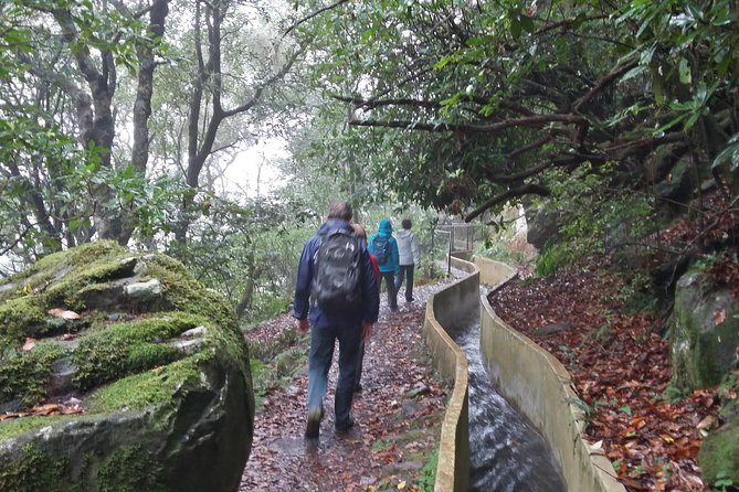 Private Sunrise Guided hike on Pico do Areeiro or other custom - Who should book this hike