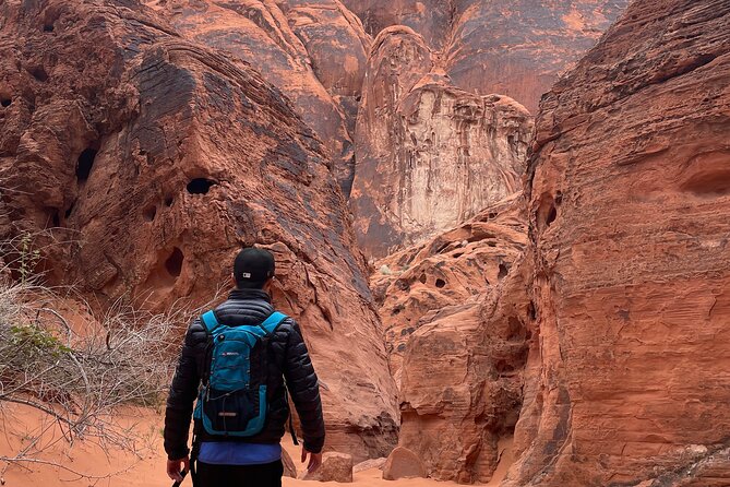 Private Valley of Fire Hiking and Sightseeing Adventure - The main drawback: this is active desert hiking