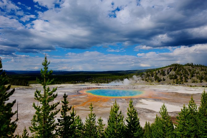 Private Yellowstone Tour: ICONIC Sites, Wildlife, Family Friendly Hikes + lunch - Why this private Yellowstone day works so well
