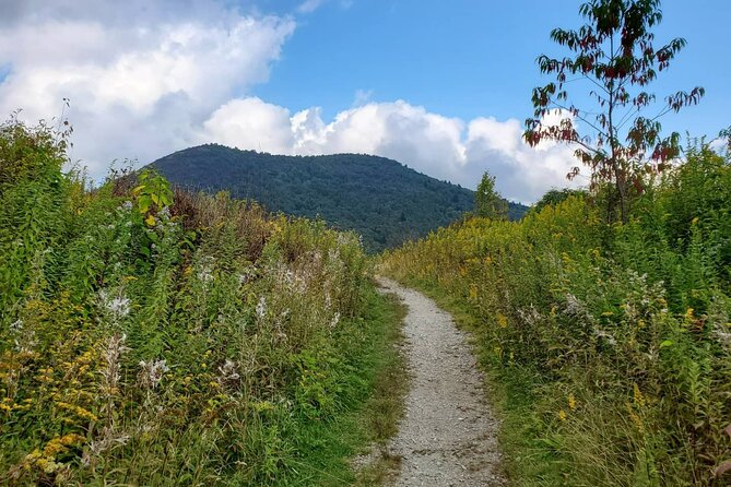 Privately Guided Half Day Hike - What to bring and how to prepare