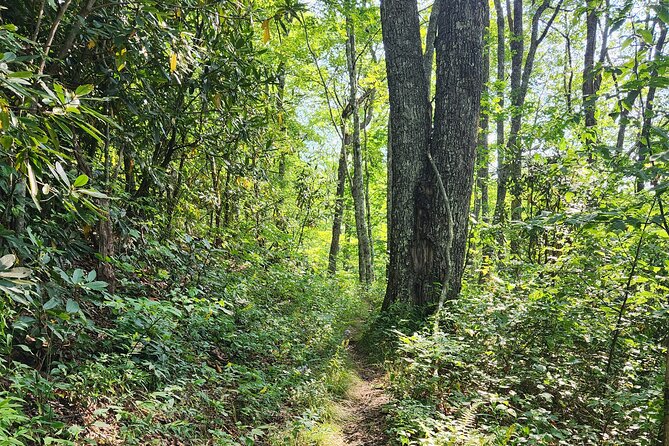 Privately Guided Half Day Hike - Weather, flexibility, and the limits of the plan