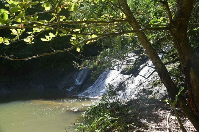 Puerto Rico Waterfall Hiking Tour: Discover Hidden Gems 2.0 - Key points to know before you book