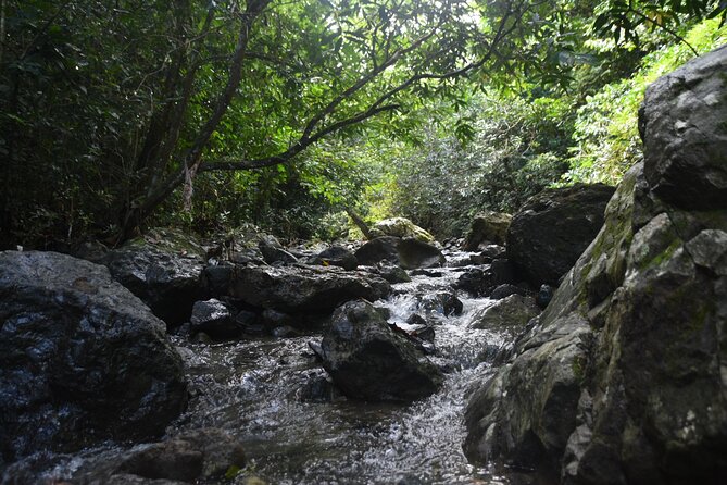 Puerto Rico Waterfall Hiking Tour: Discover Hidden Gems 2.0 - A mountain day that feels far from San Juan