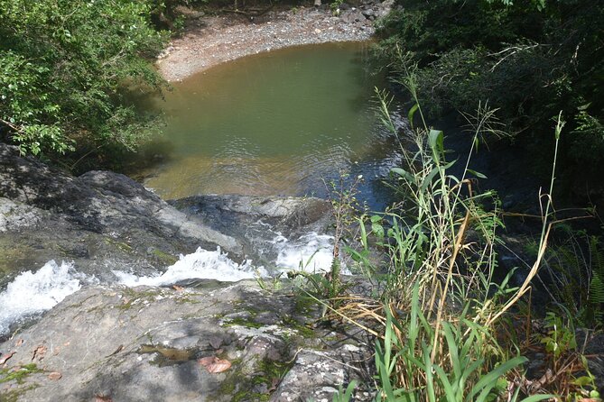 Puerto Rico Waterfall Hiking Tour: Discover Hidden Gems 2.0 - Local food after the hike