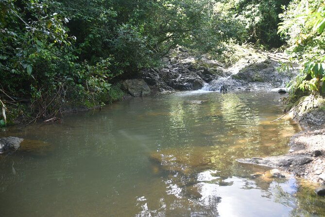 Puerto Rico Waterfall Hiking Tour: Discover Hidden Gems 2.0 - The guides make a major difference