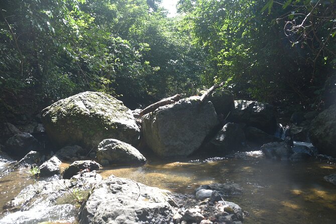 Puerto Rico Waterfall Hiking Tour: Discover Hidden Gems 2.0 - Who should book this hike?