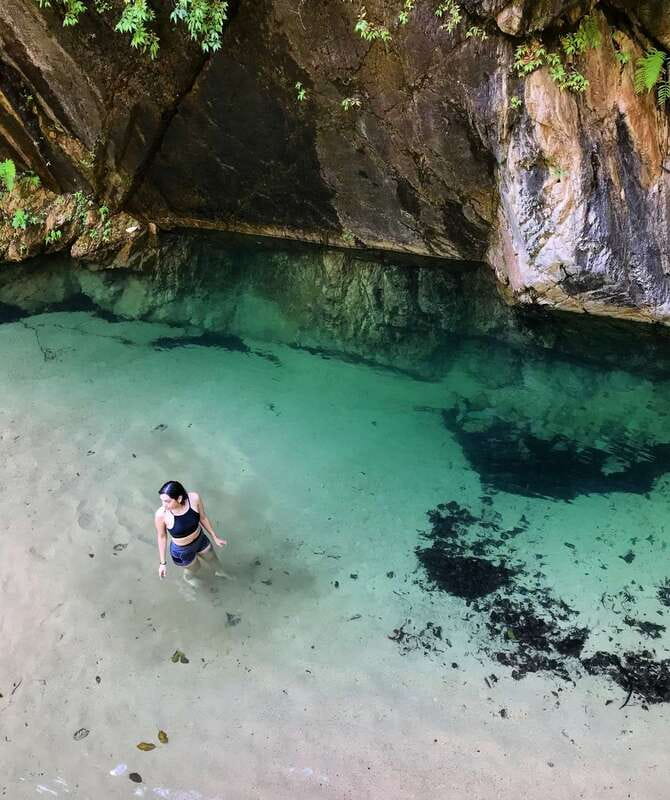 Puerto Vallarta: 4-Hour Jungle Hike and Waterfall Swim - Following the river through tropical forest