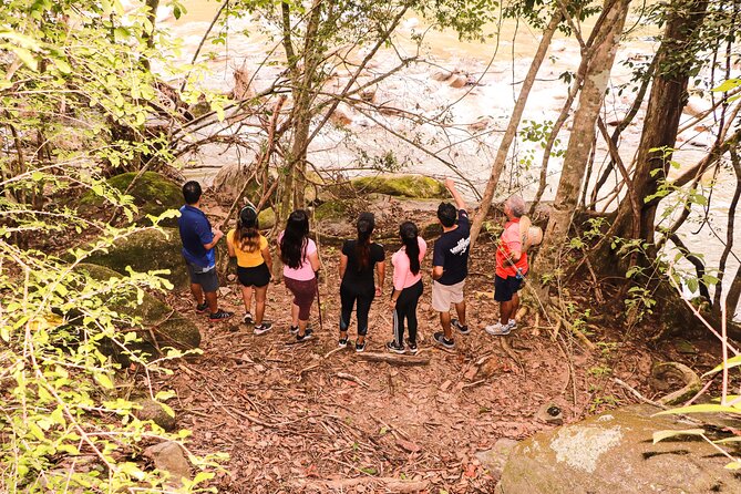 Puerto Vallarta Botanical Gardens Hiking Tour - Meeting point, transport, and timing