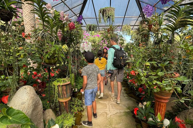 Puerto Vallarta Botanical Gardens Hiking Tour - Who gets the most value from the $102 price?