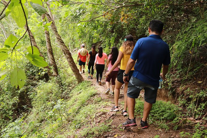 Puerto Vallarta Botanical Gardens Hiking Tour - What to pack for a better day