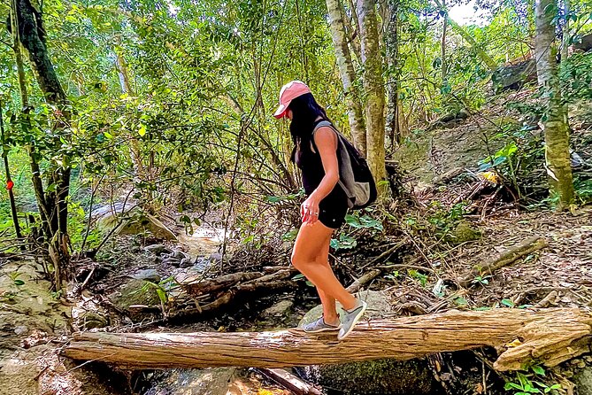 Puerto Vallarta Botanical Gardens Hiking Tour - How difficult is the Horcones River hike?