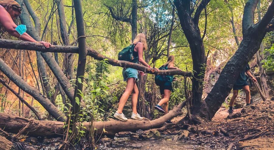 Punta Cana: Los Haitises Hike & Kayaking Mangroves - Why Los Haitises makes a worthwhile day from Punta Cana