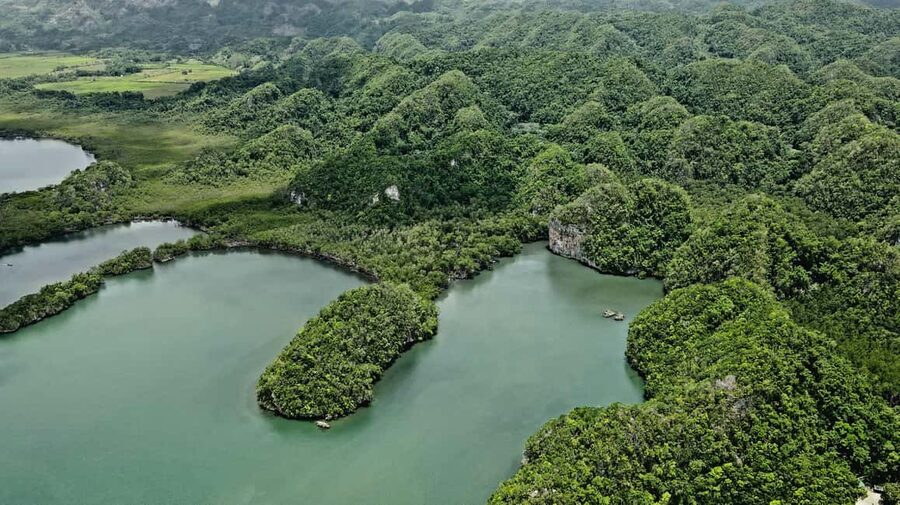 Punta Cana: Los Haitises Hike & Kayaking Mangroves - Four hours among the mangroves