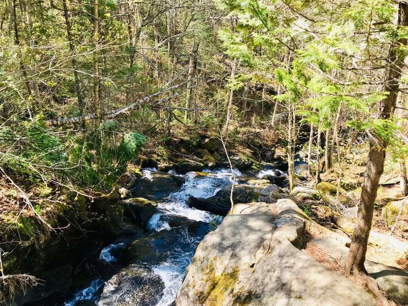 Quebec City: Guided Hike in Jacques-Cartier National Park - Lunch halfway through the route