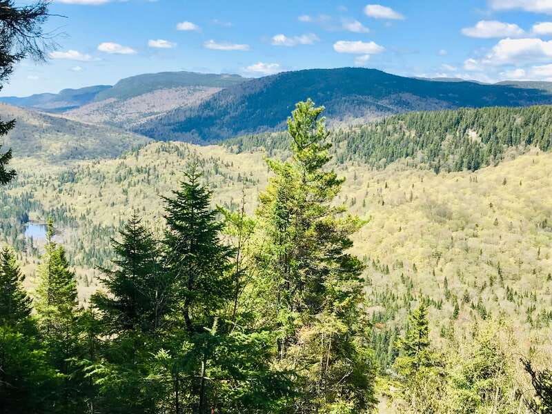 Quebec City: Guided Hike in Jacques-Cartier National Park - Guides, language, and group atmosphere