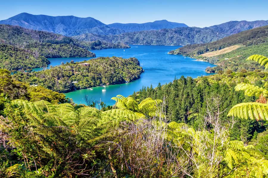 Queen Charlotte Track: Cruise & Self-Guided Hike from Picton - Key points at a glance