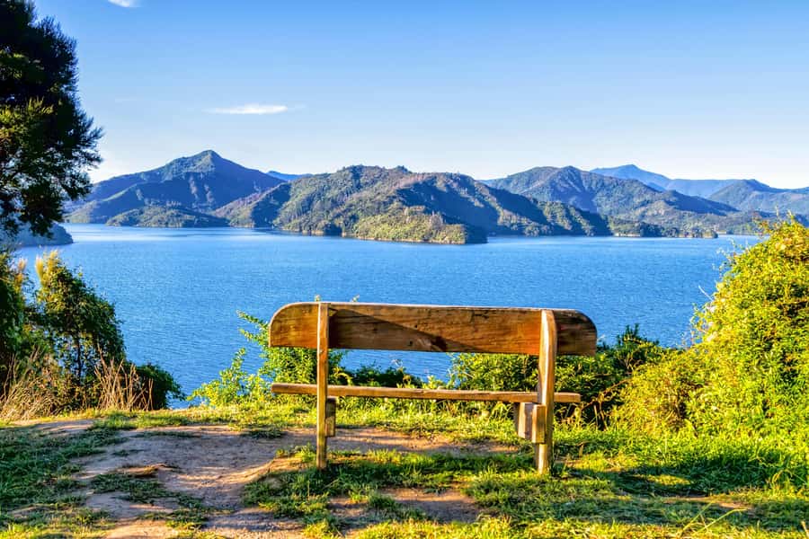 Queen Charlotte Track: Cruise & Self-Guided Hike from Picton - Choosing between the 12.7 and 17 kilometer routes