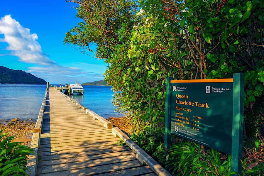 Queen Charlotte Track: Cruise & Self-Guided Hike from Picton - What the Queen Charlotte Track feels like