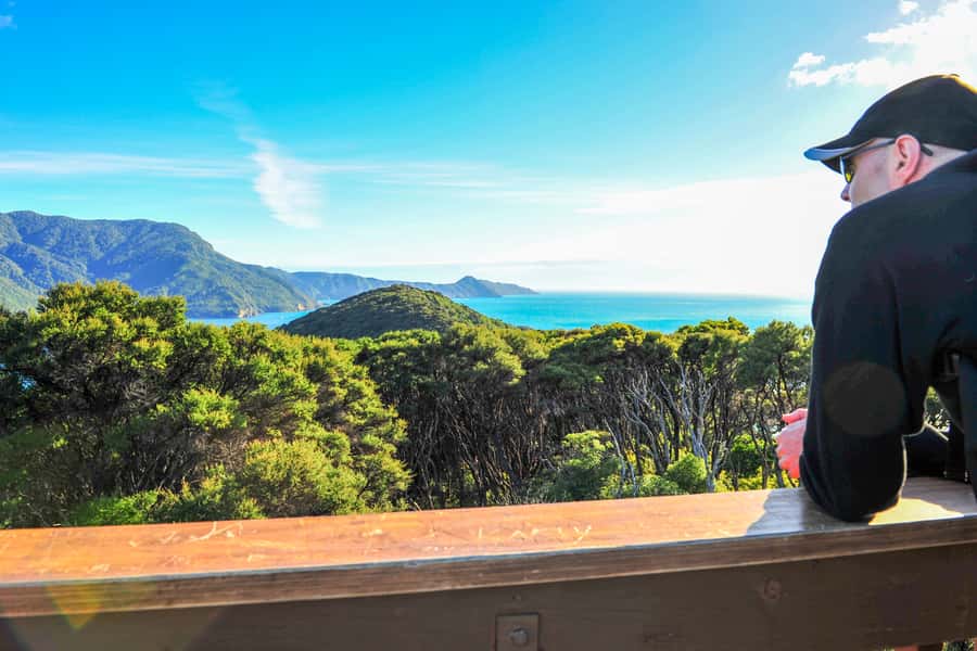 Queen Charlotte Track: Cruise & Self-Guided Hike from Picton - Who should book this day?